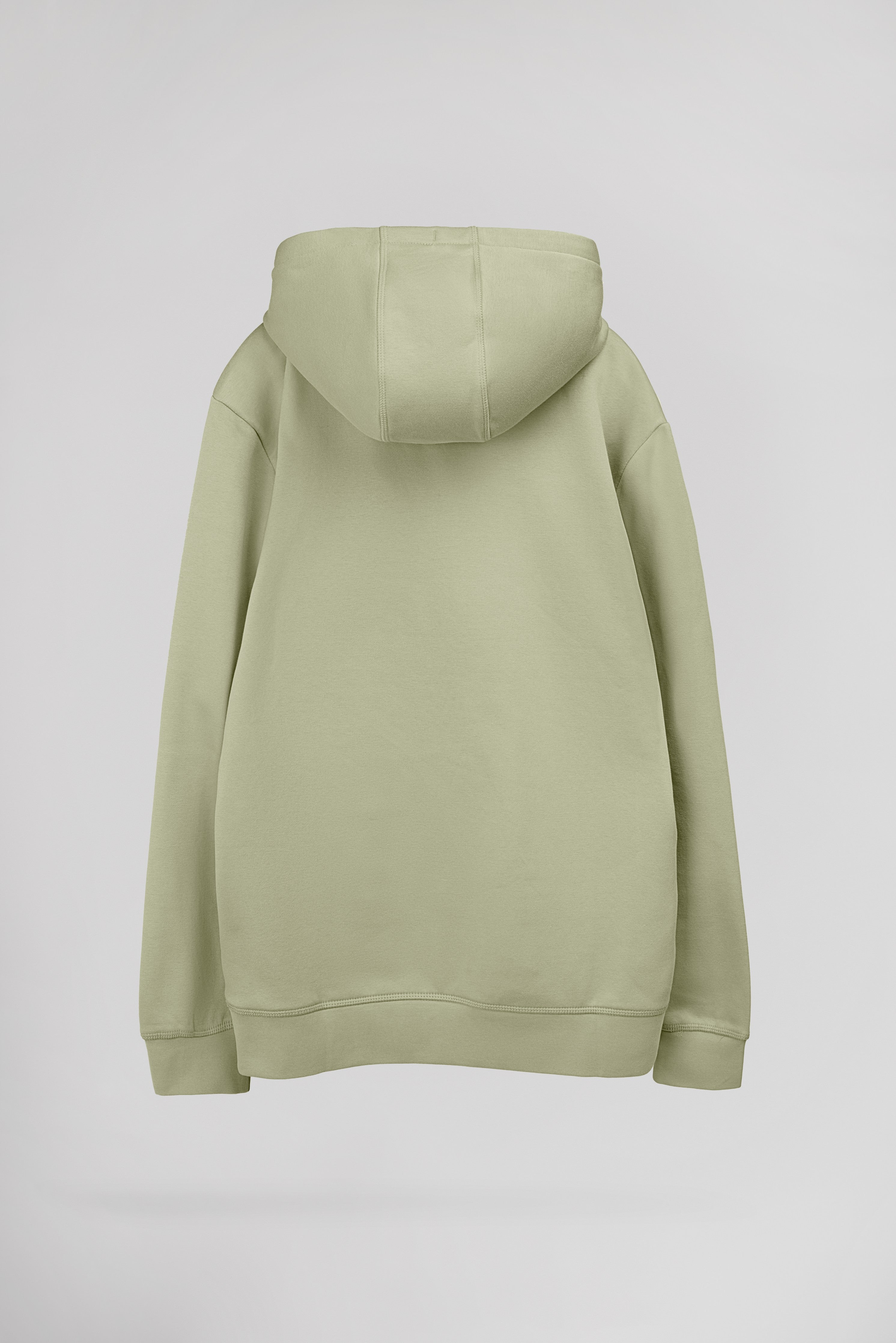Teddy Smith S-Nark Hoody sweat capuche vert sauge