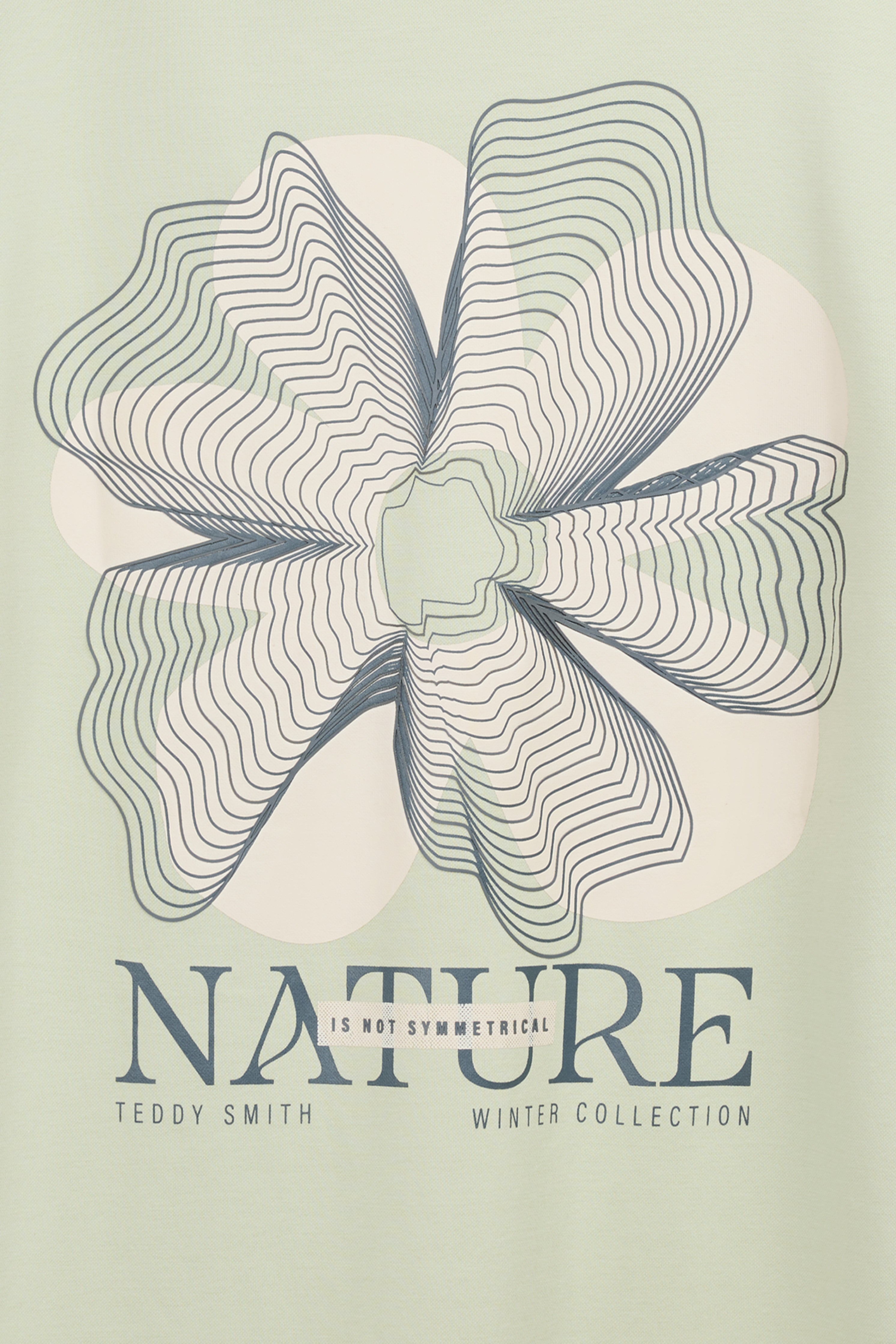 Teddy Smith T-Nature MC t-shirt vert nacre ample coton