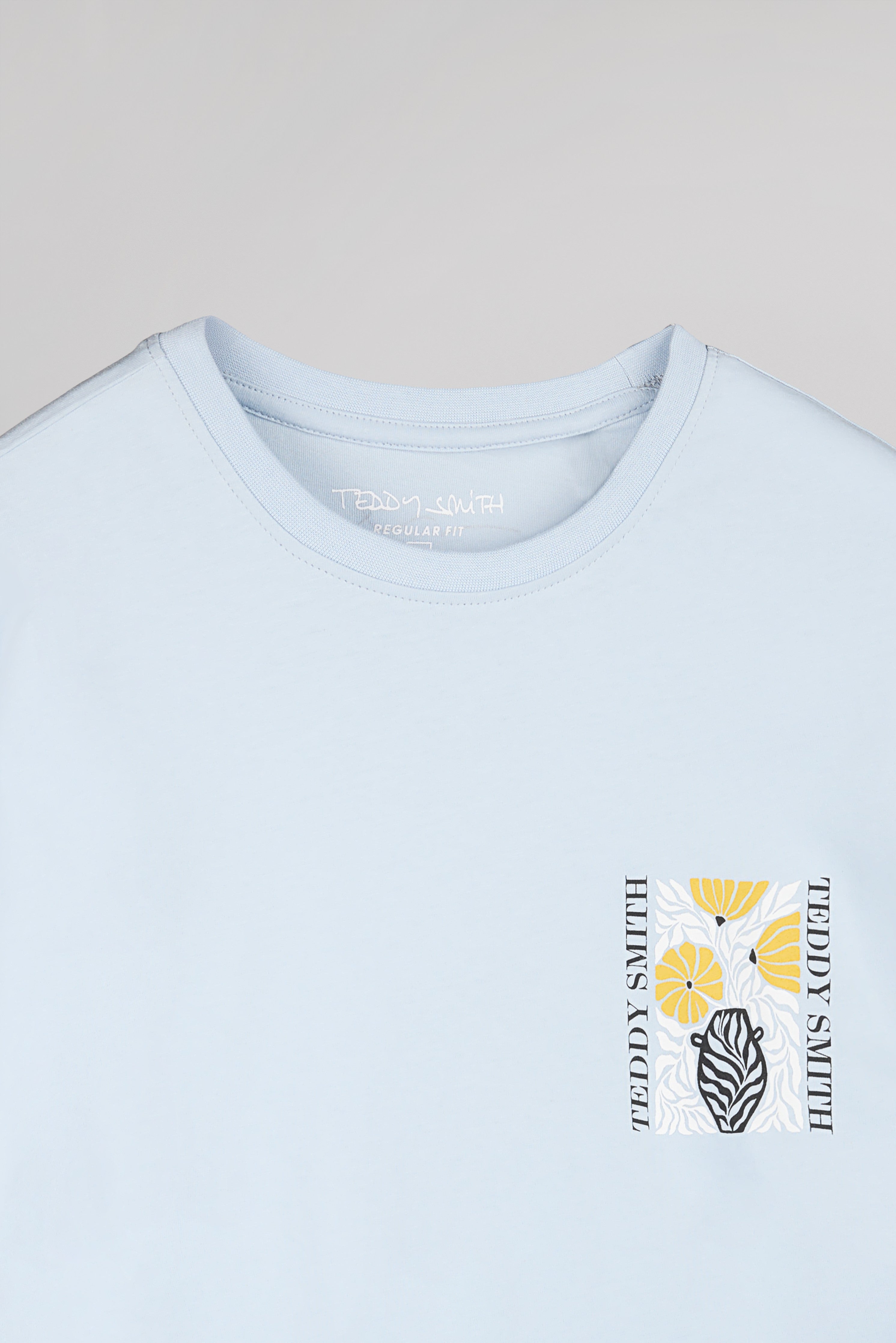 Teddy Smith T-Panorama MC t-shirt pastel blue ample