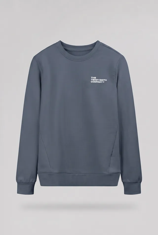 Teddy Smith S-Company RC JR sweat gris météore garçon