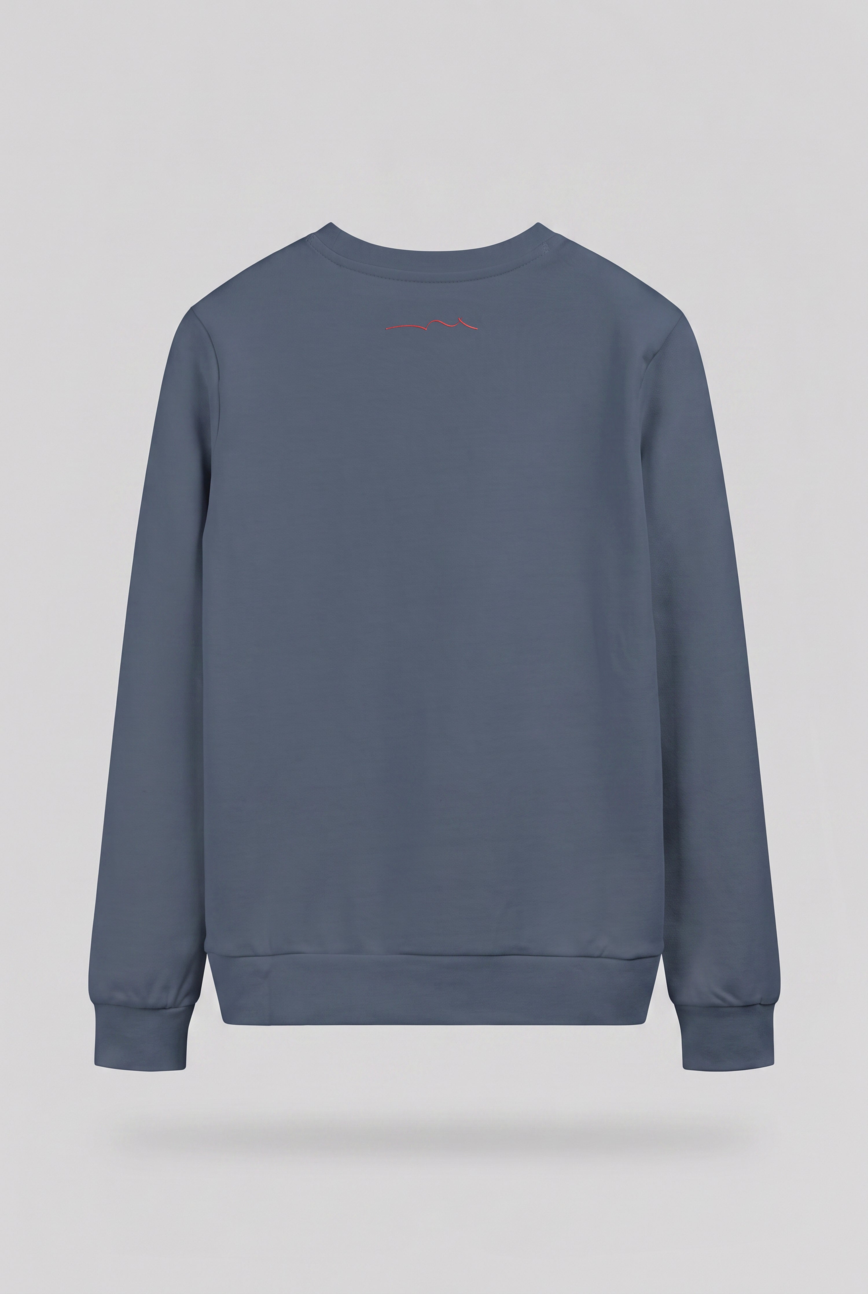 Teddy Smith S-Company RC JR sweat gris météore garçon