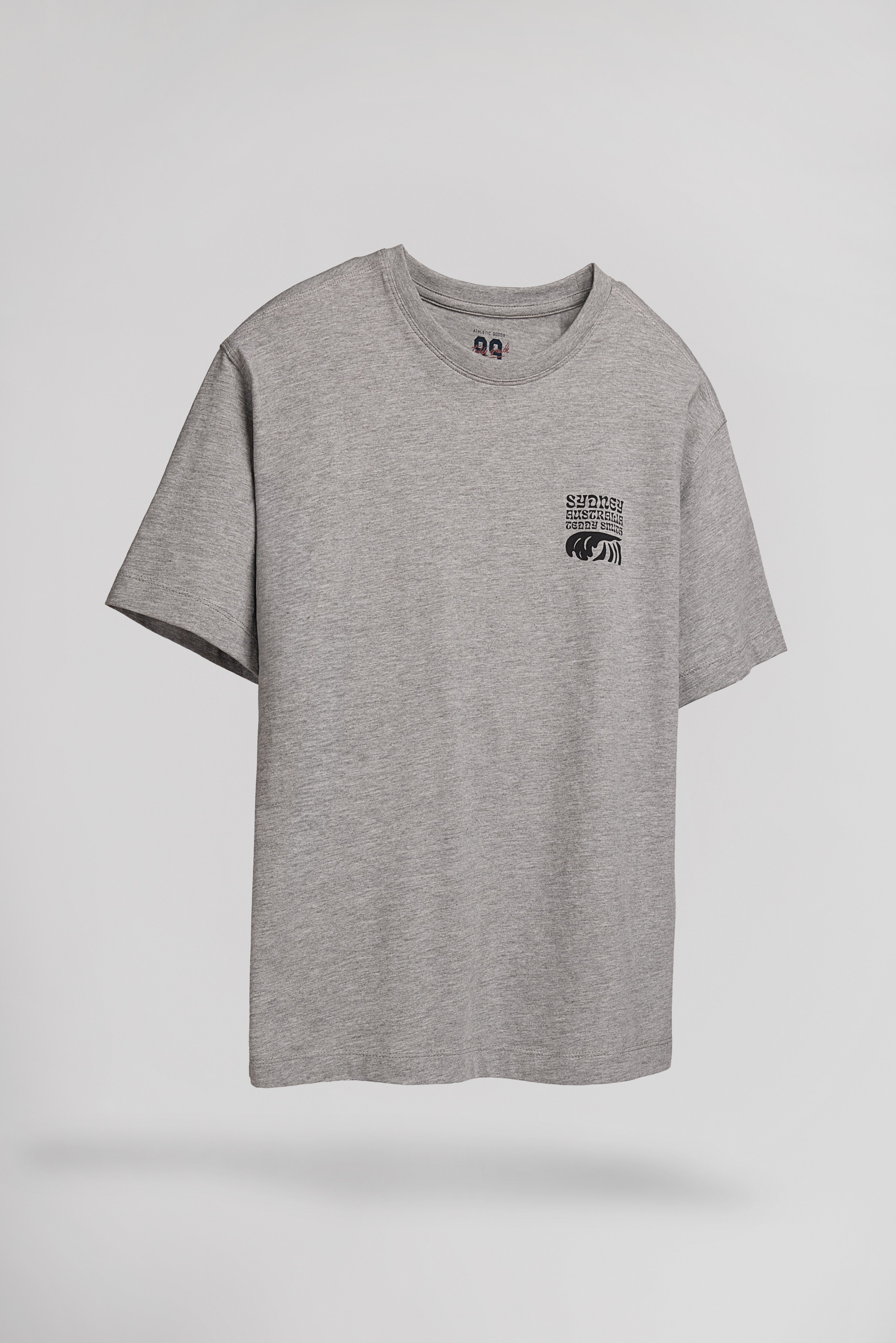 Teddy Smith T-World t-shirt gris chiné garçon