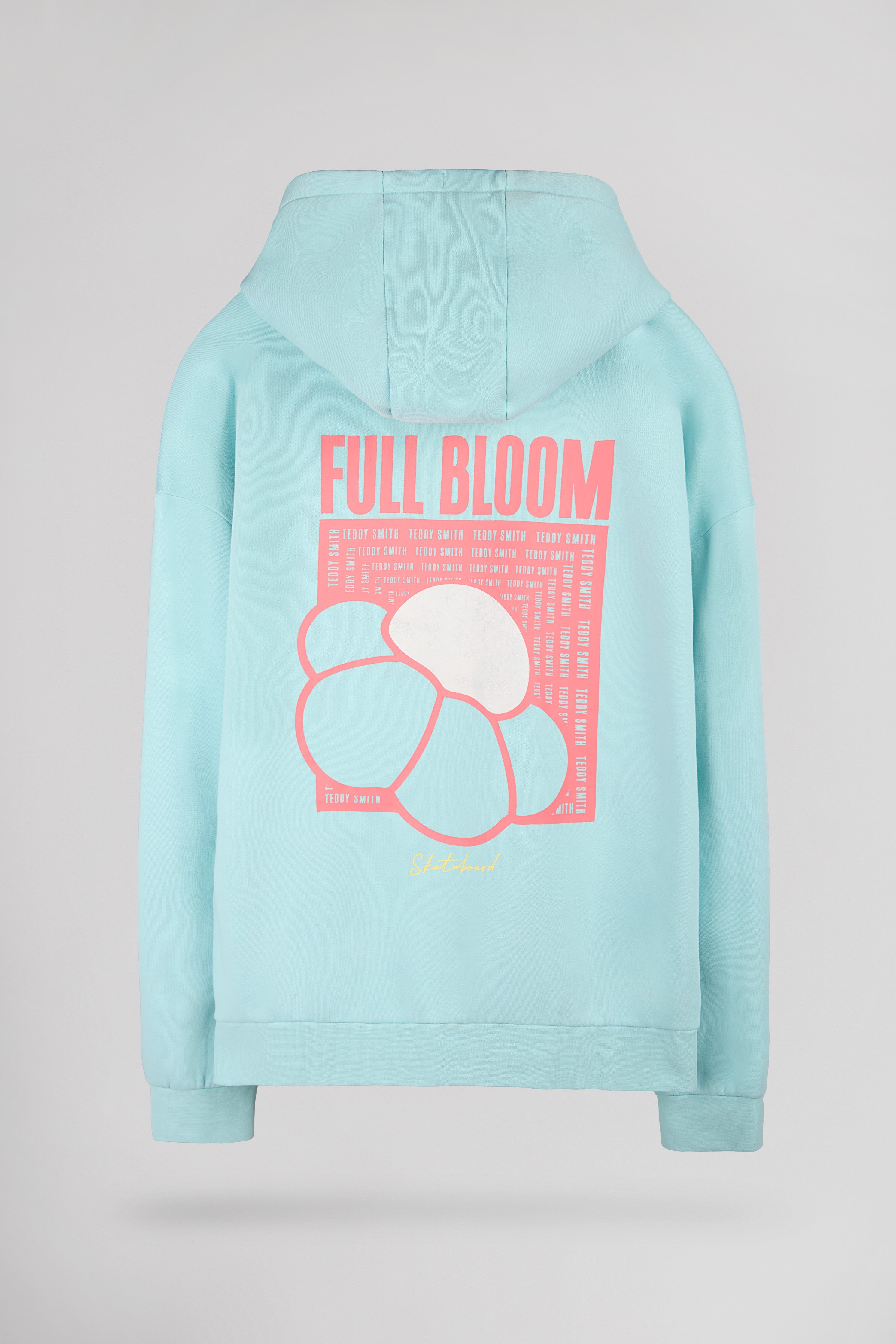 Teddy Smith S-Rima Hoody sweat capuche bleu lagon
