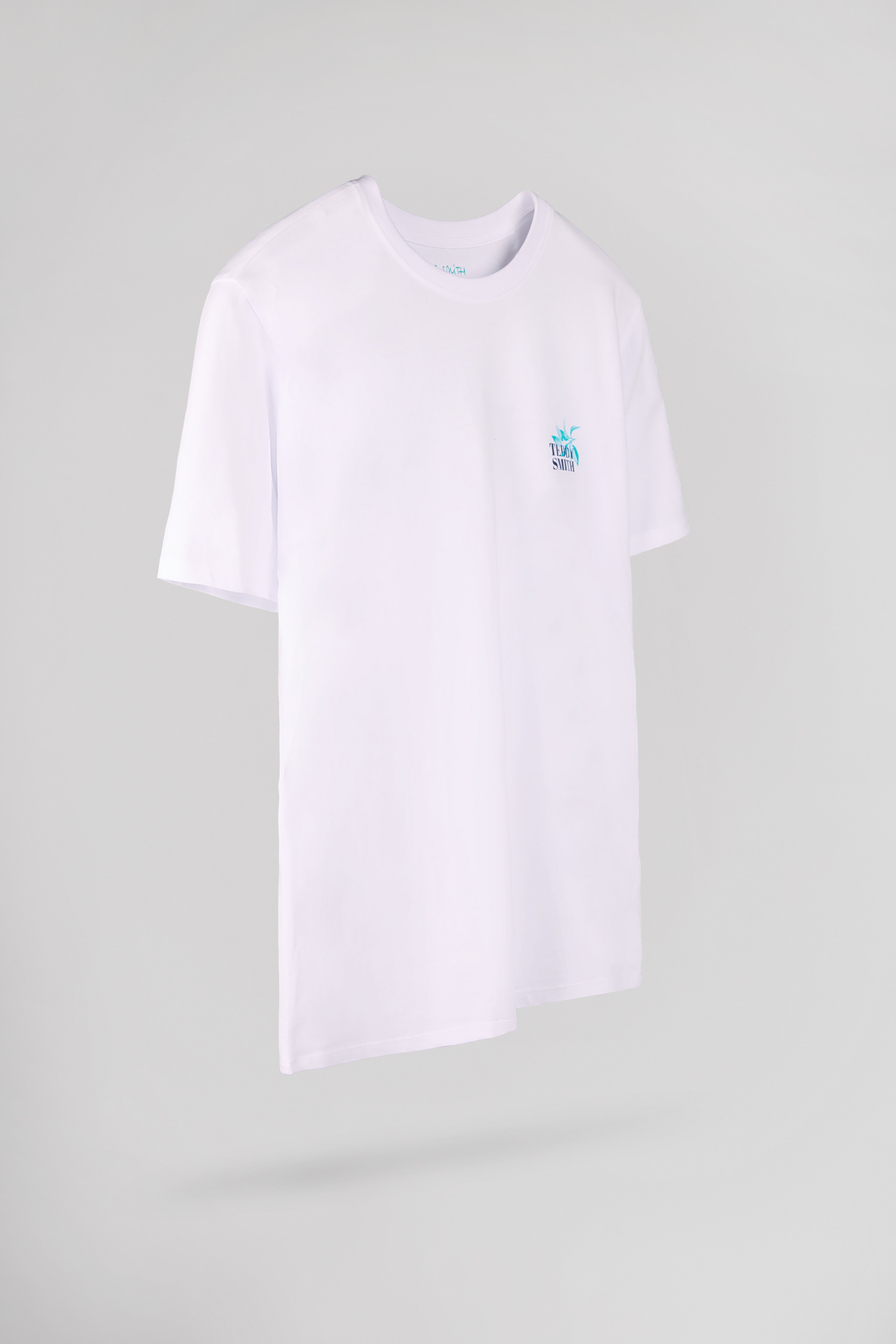 Teddy Smith T-Land t-shirt blanc col rond homme