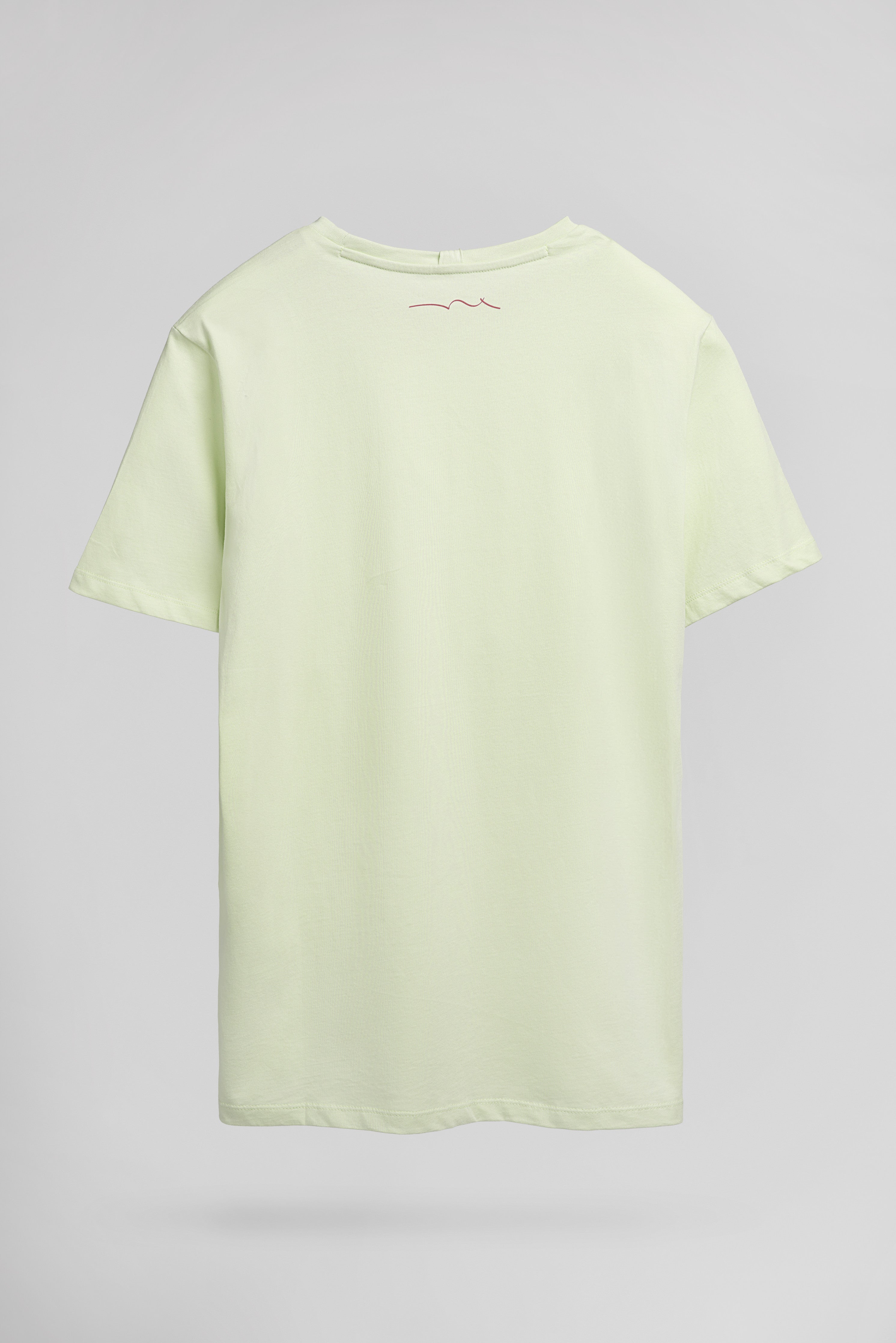 Teddy Smith T-Soy 2 MC t-shirt vert nacré homme