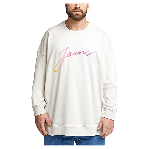 Lee Loose Seasonal sweat homme molleton gris brumeux