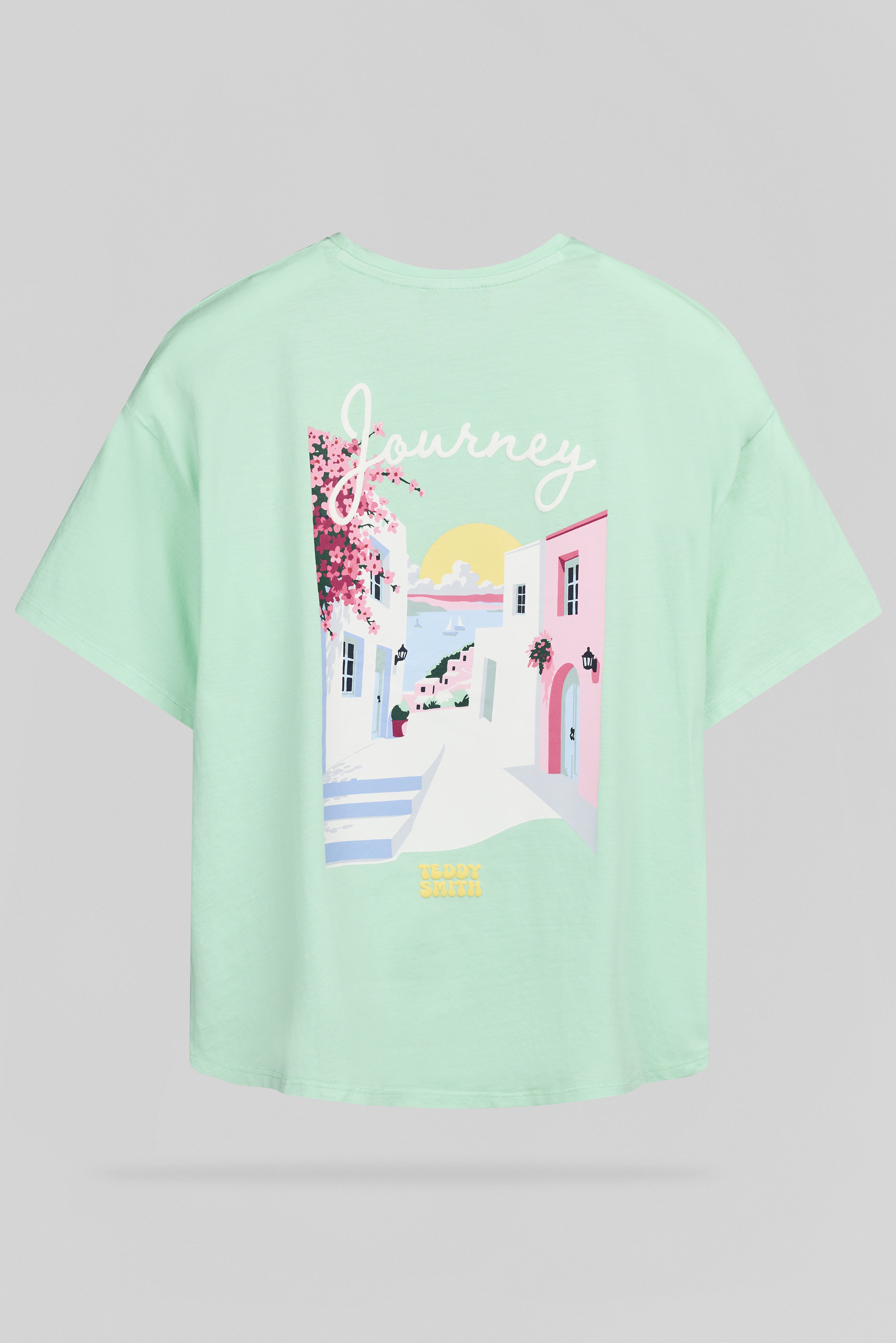 Teddy Smith T-Ally MC t-shirt vert menthe délavé