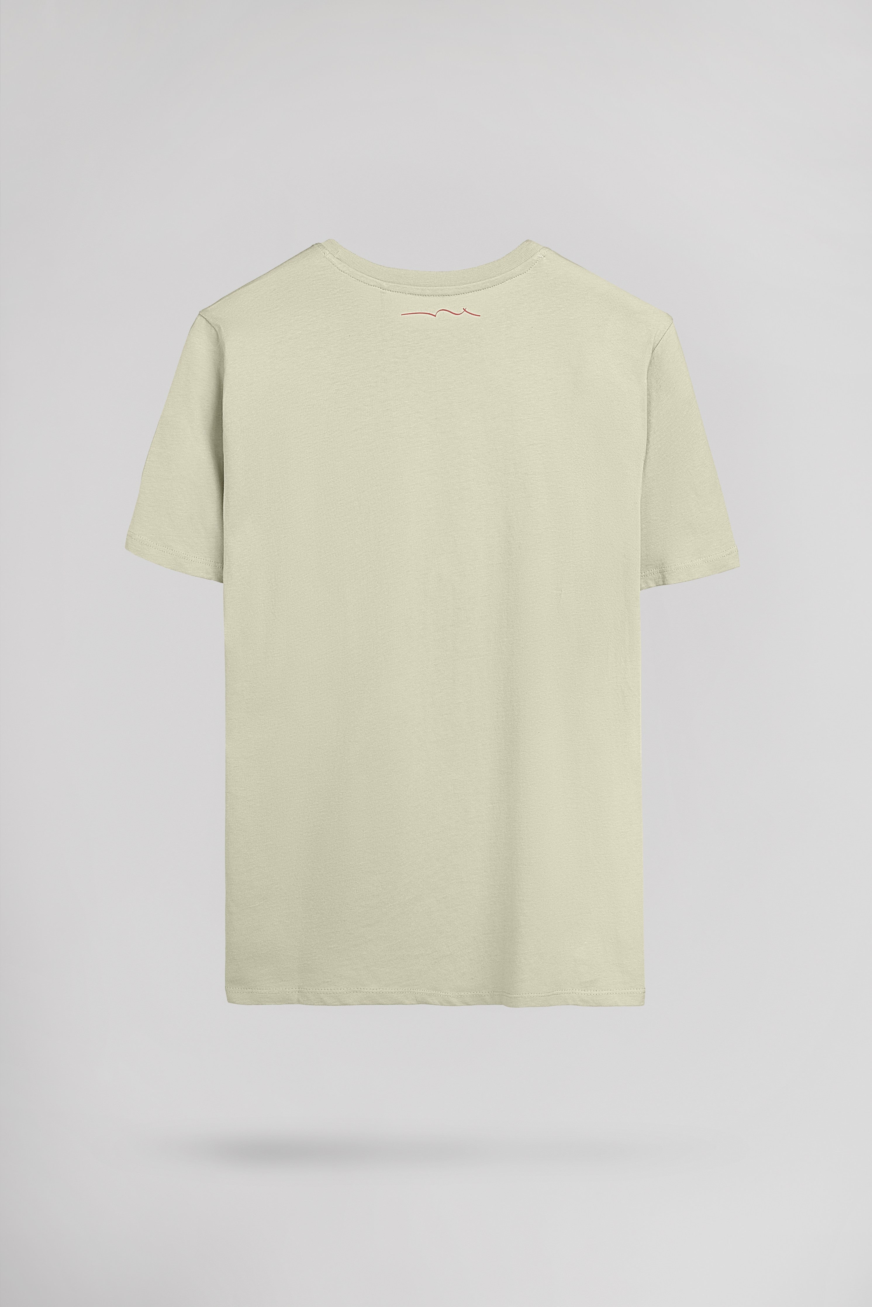 Teddy Smith T-Minimalist t-shirt vert sauge homme