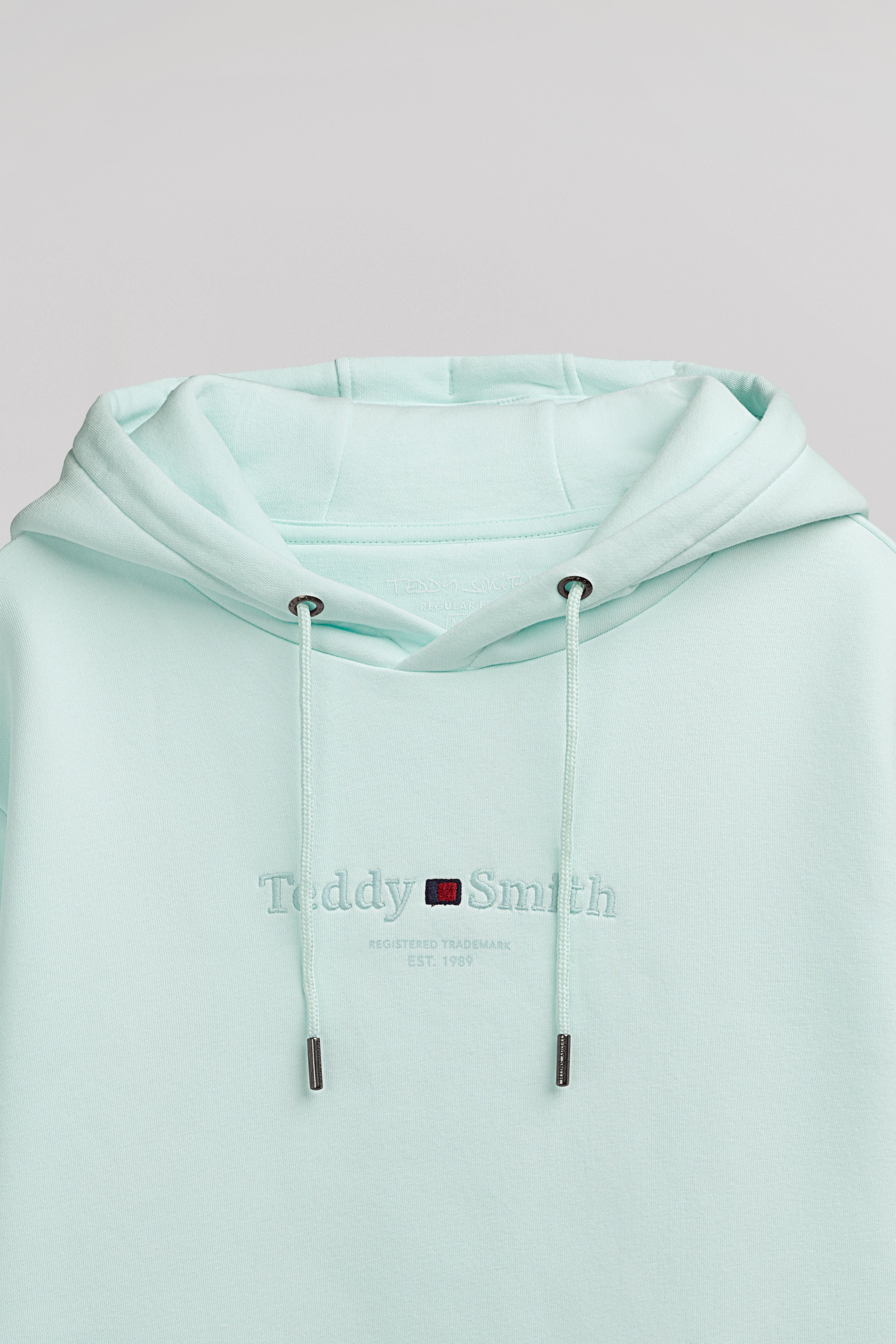 Teddy Smith S-Jim Hoody sweat capuche menthol homme