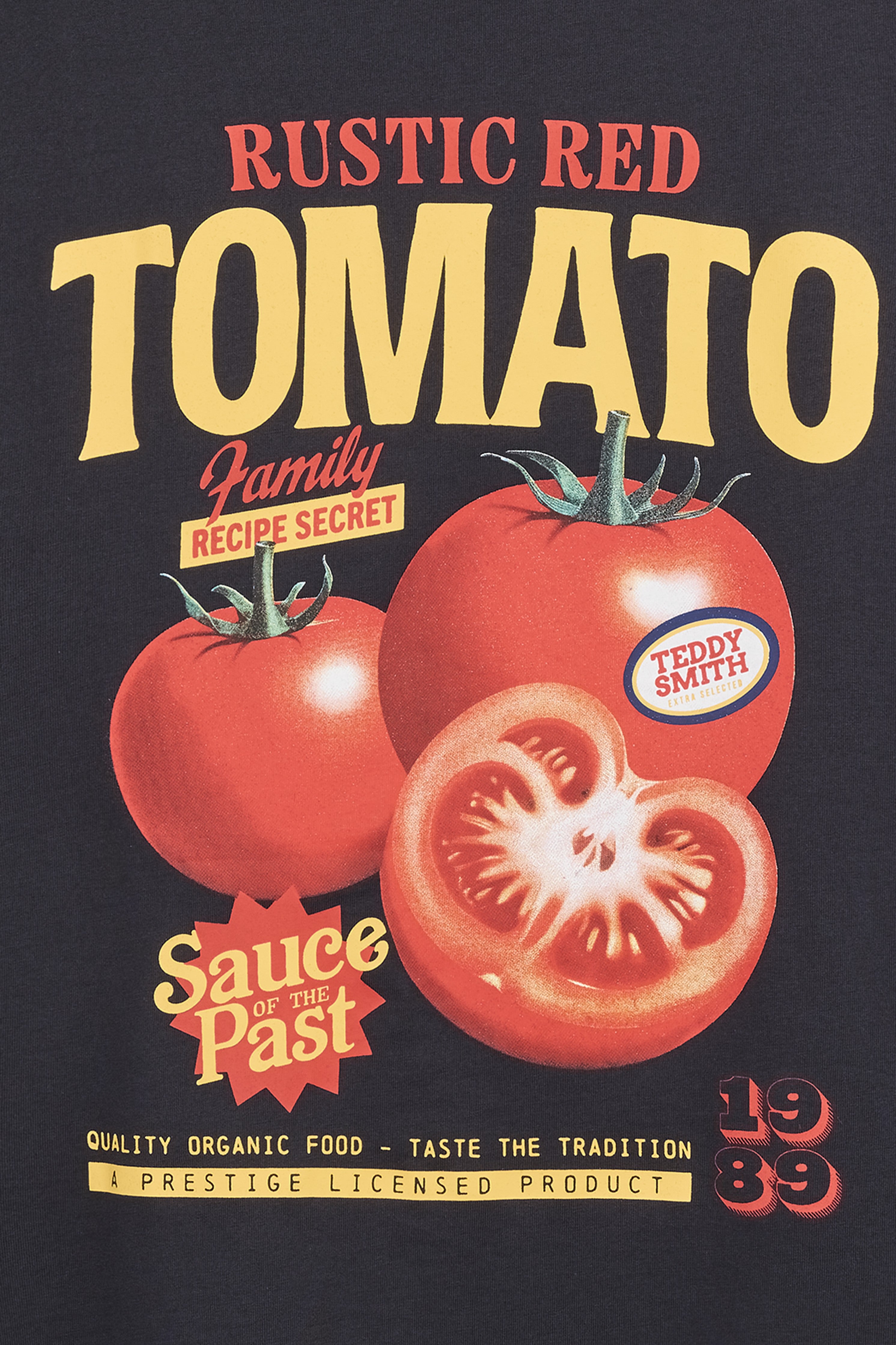 Teddy Smith T-Tomato MC t-shirt coton dark navy