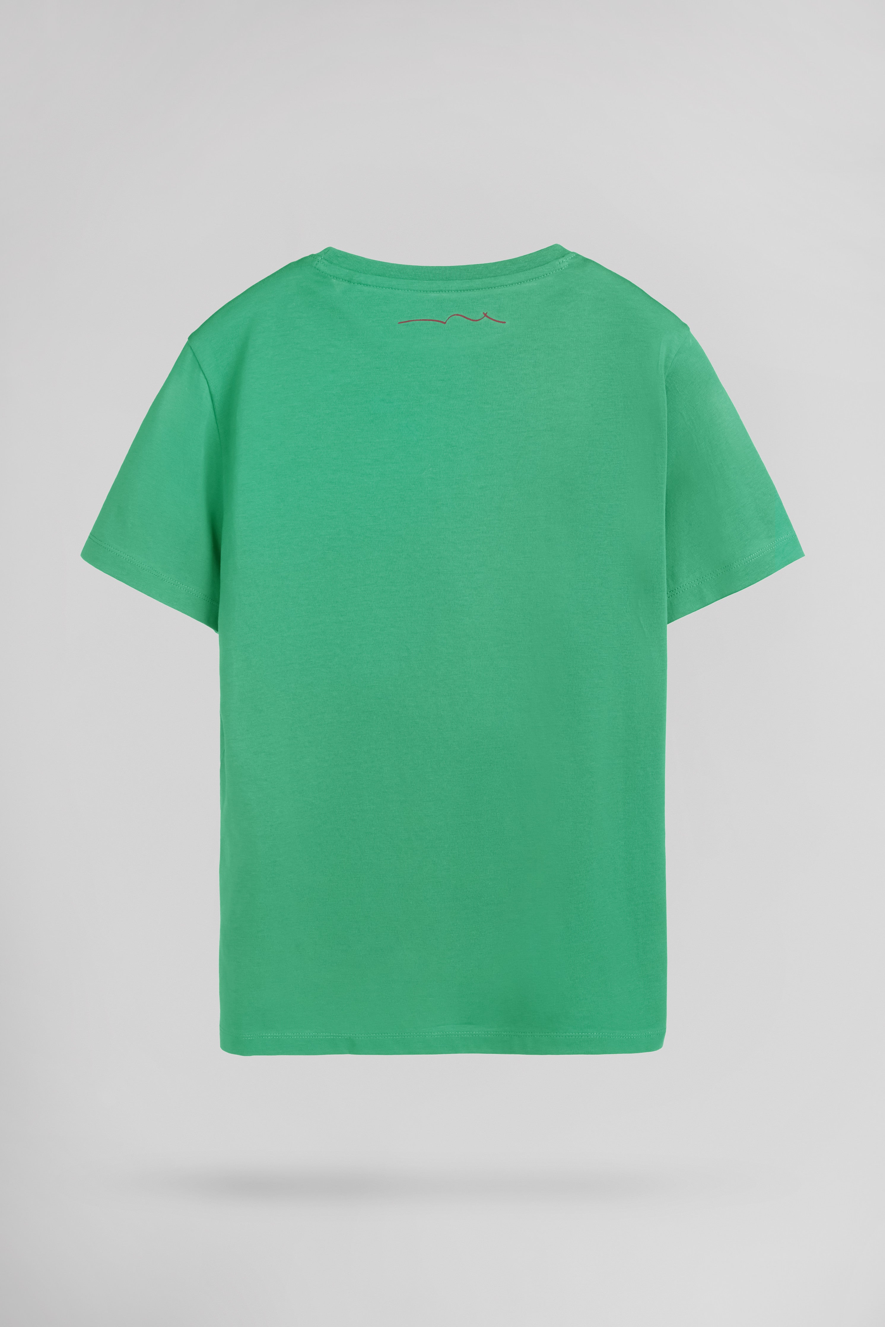 Teddy Smith T-EVAN MC JR CANDY GREEN t-shirt garcon coton