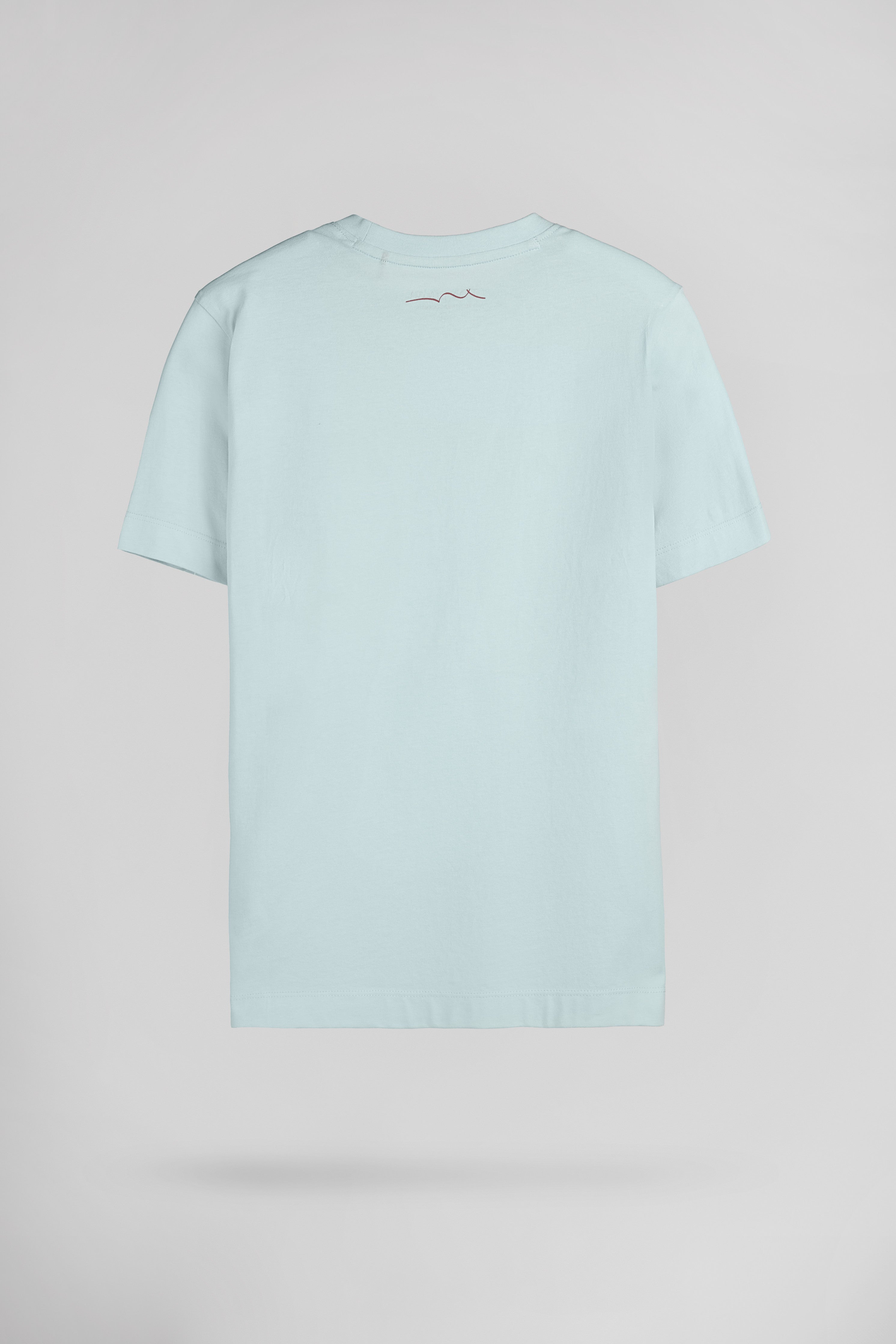 Teddy Smith T-Jim MC JR t-shirt garçon bleach menthol coton