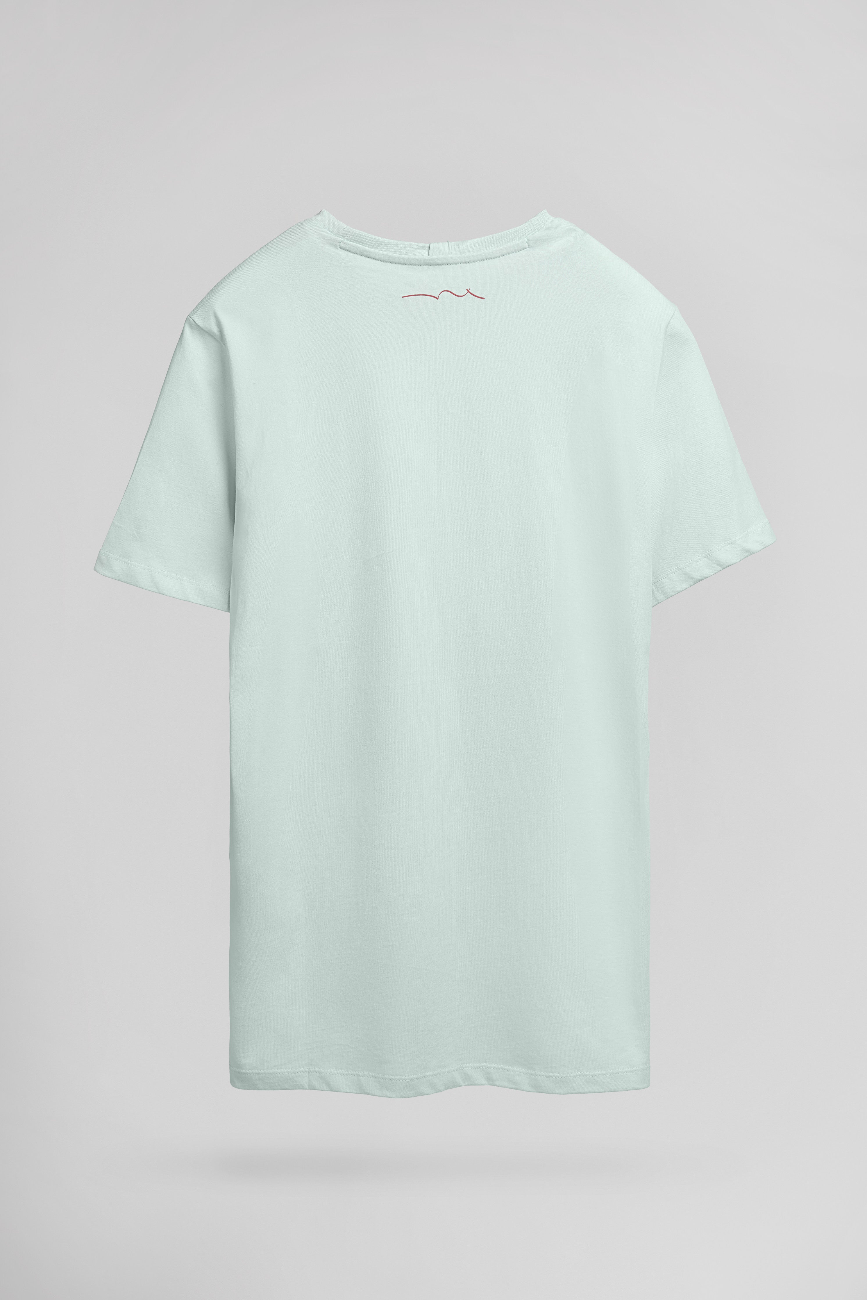 Teddy Smith T-Soy 2 MC t-shirt bleach menthol homme
