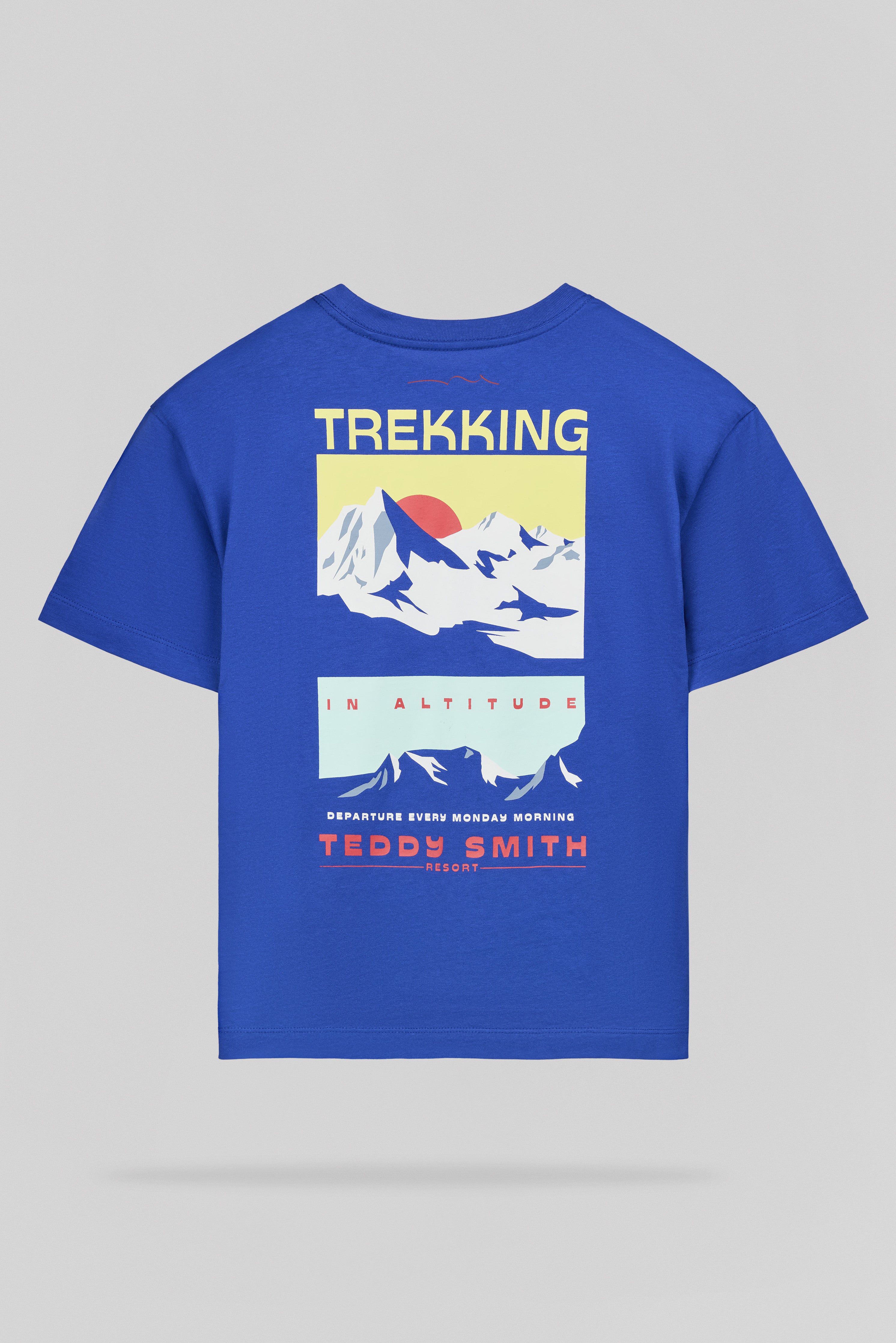 Teddy Smith T-Mountain t-shirt garçon bleu pep's coton