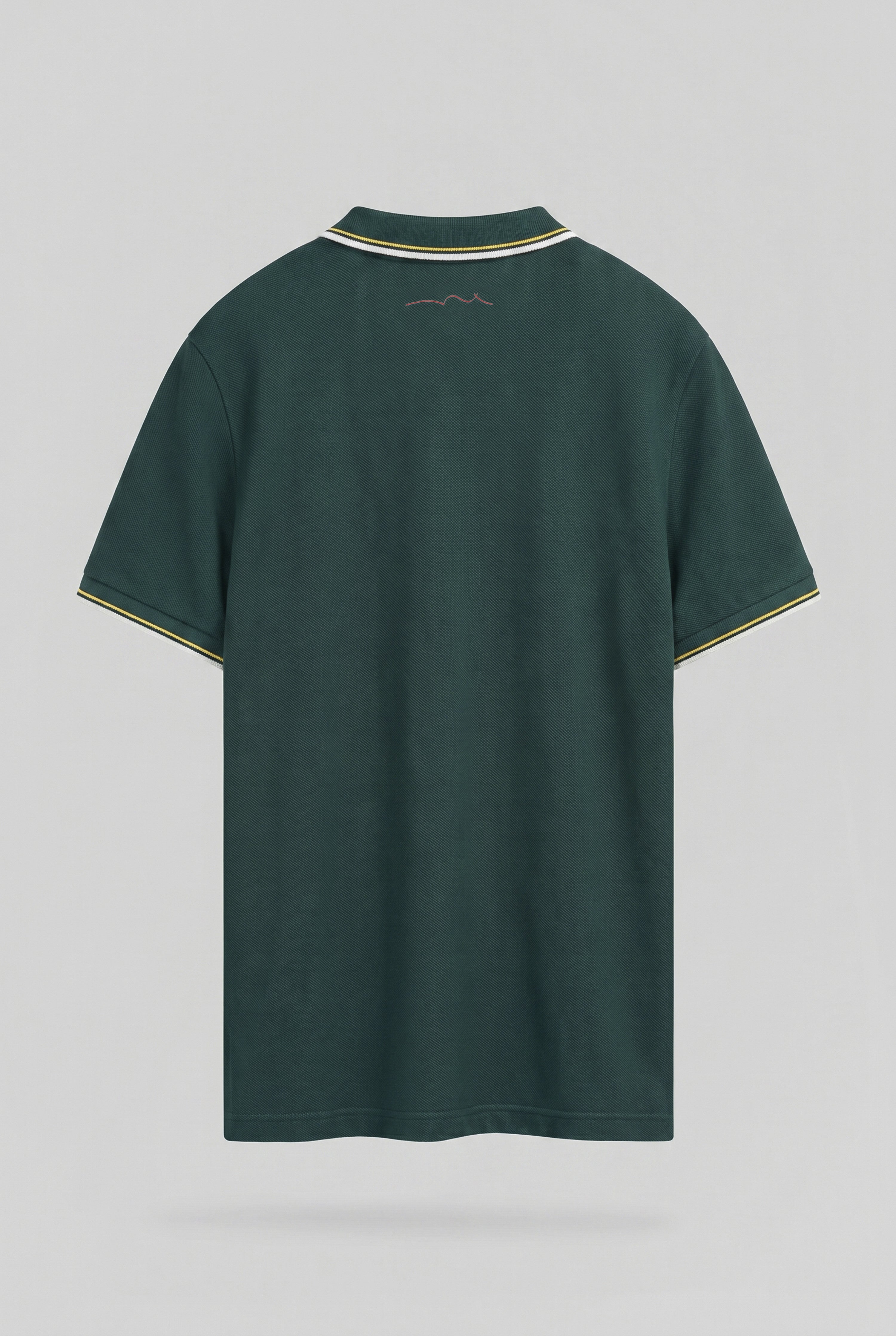 Teddy Smith Pasian 2 polo piqué homme vert pin coton