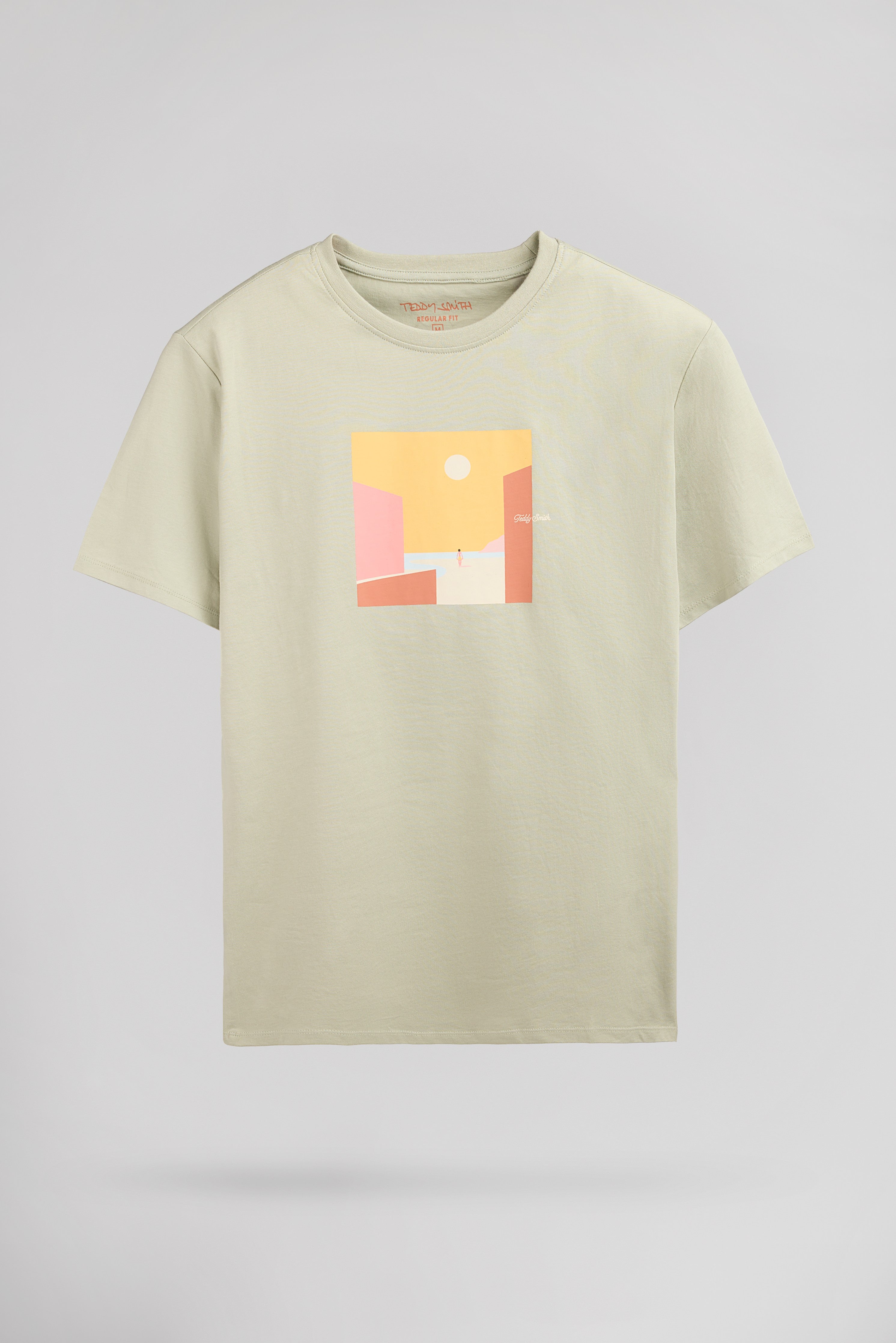Teddy Smith T-Minimalist t-shirt vert sauge homme