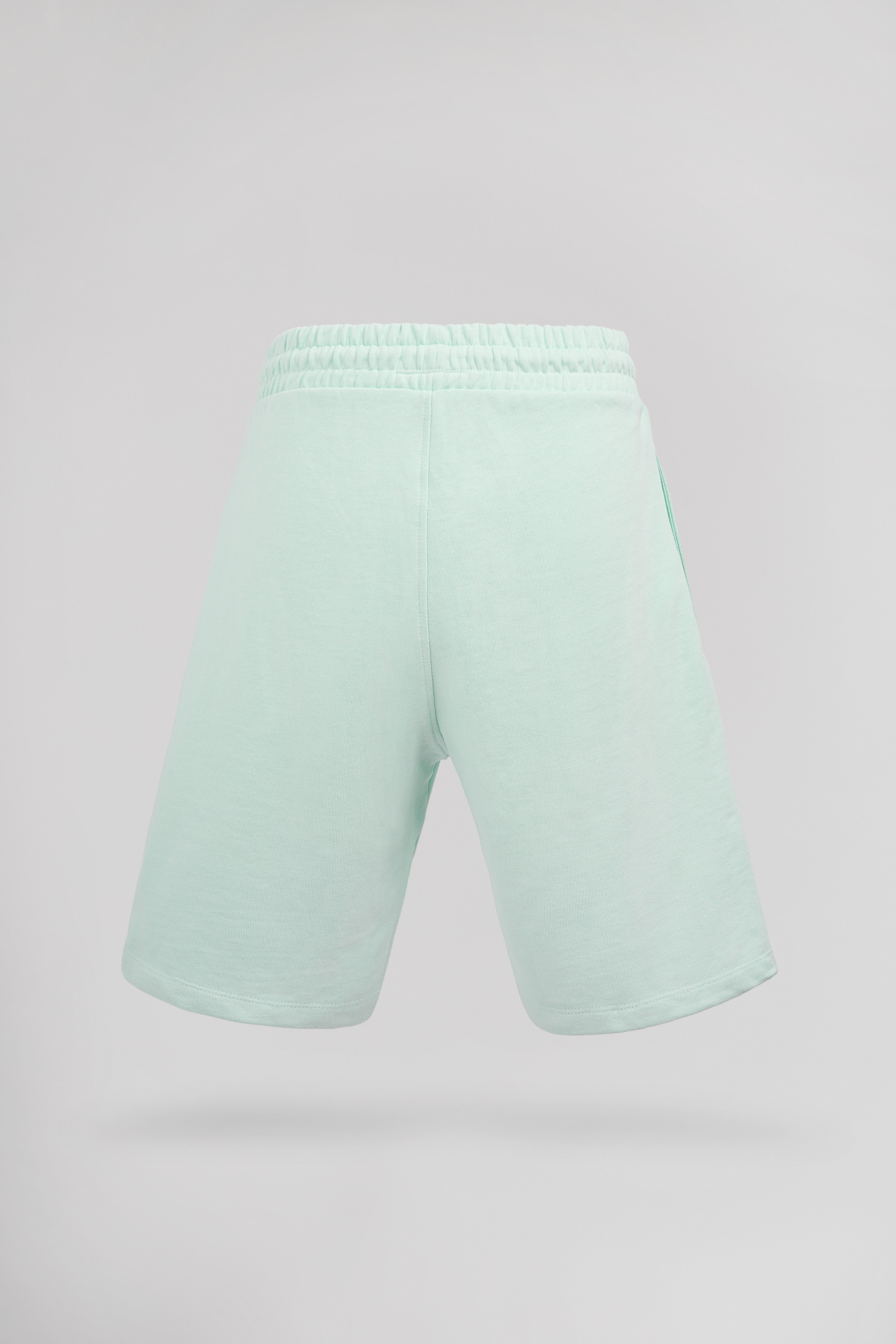 Teddy Smith S-Narky SH short molleton vert menthol