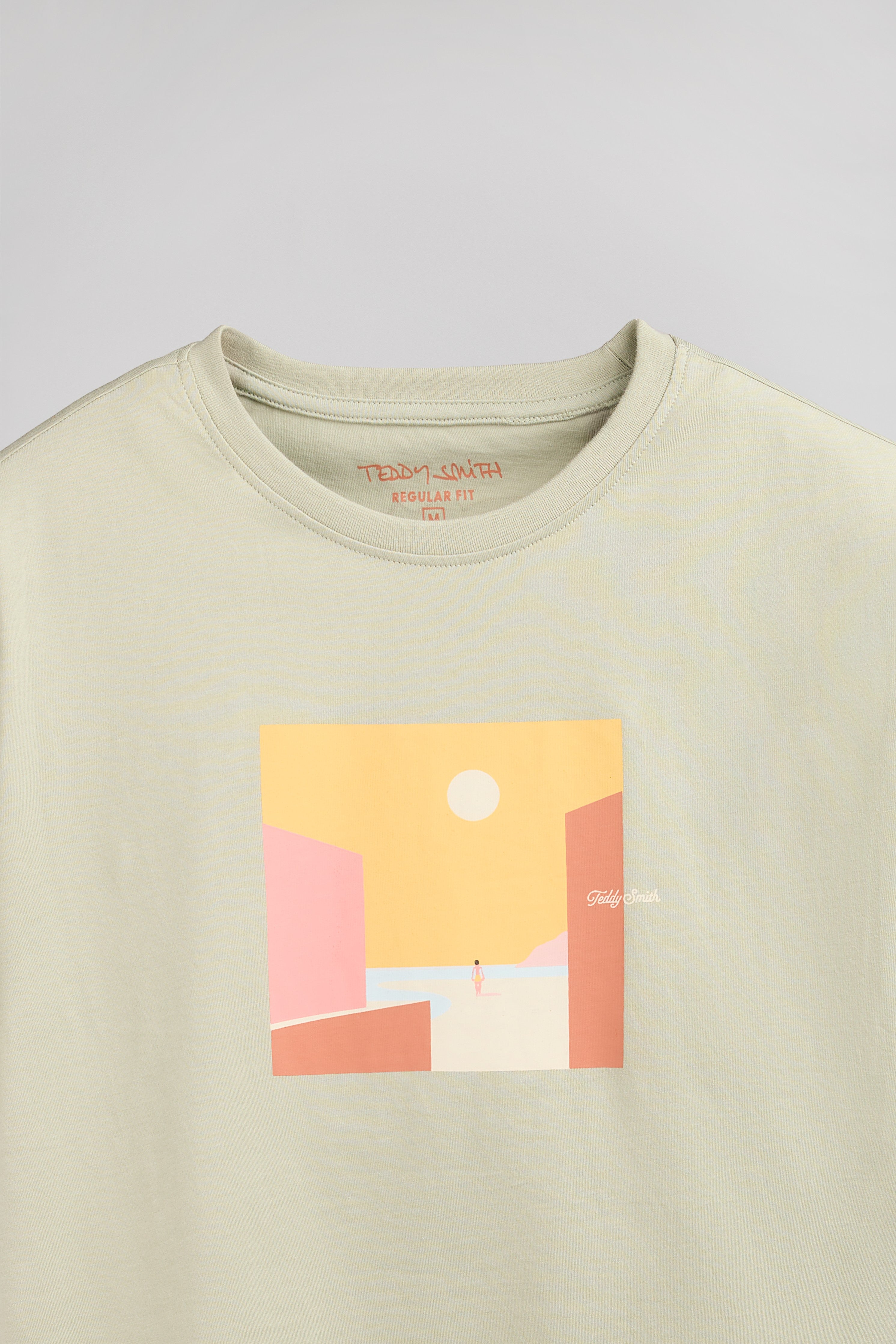 Teddy Smith T-Minimalist t-shirt vert sauge homme