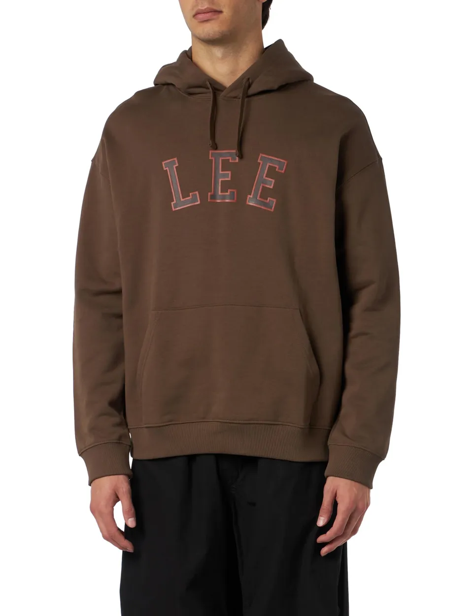 Lee Graphic sweat capuche homme M truffe molleton