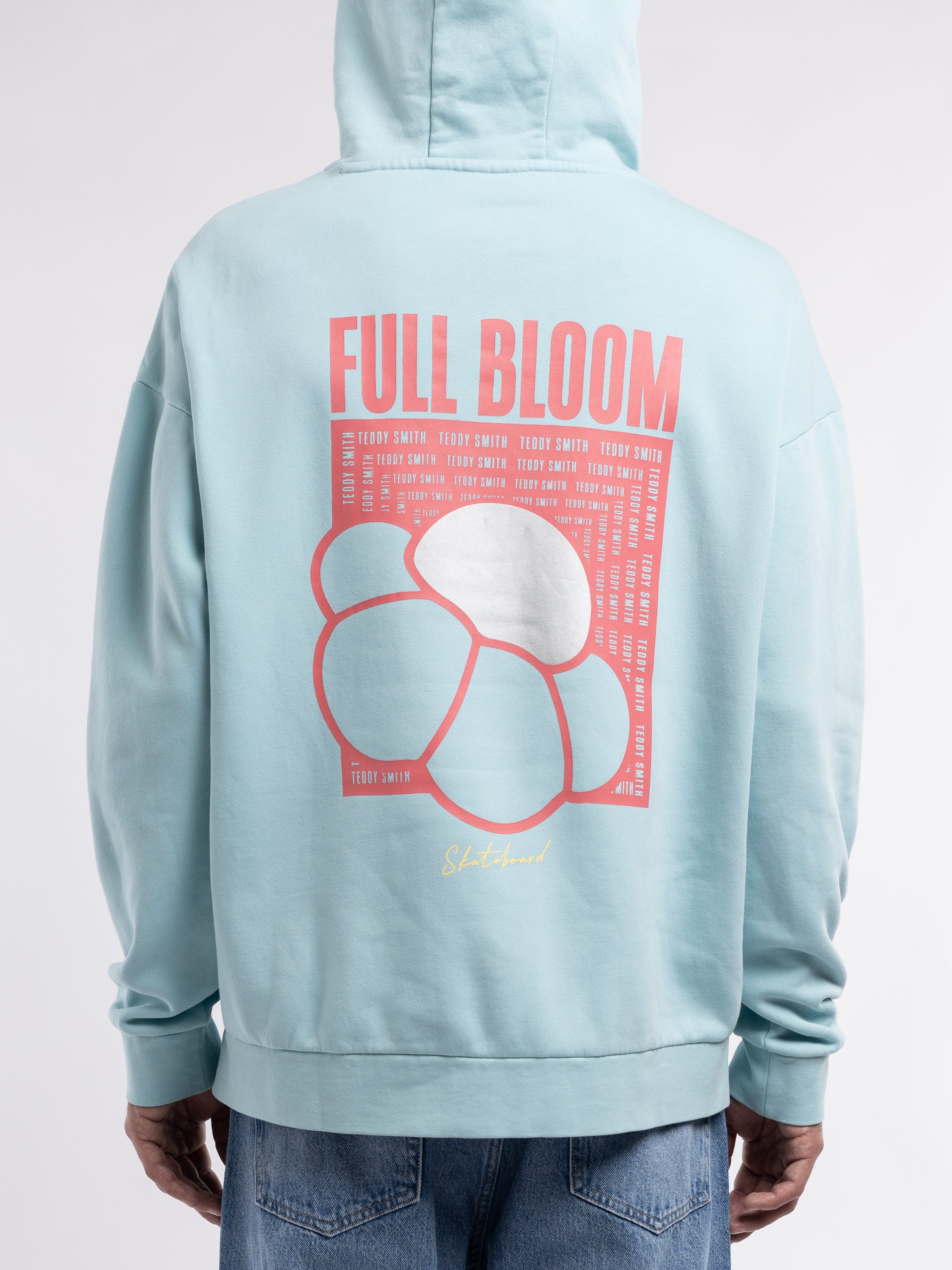 Teddy Smith S-Rima Hoody sweat capuche bleu lagon