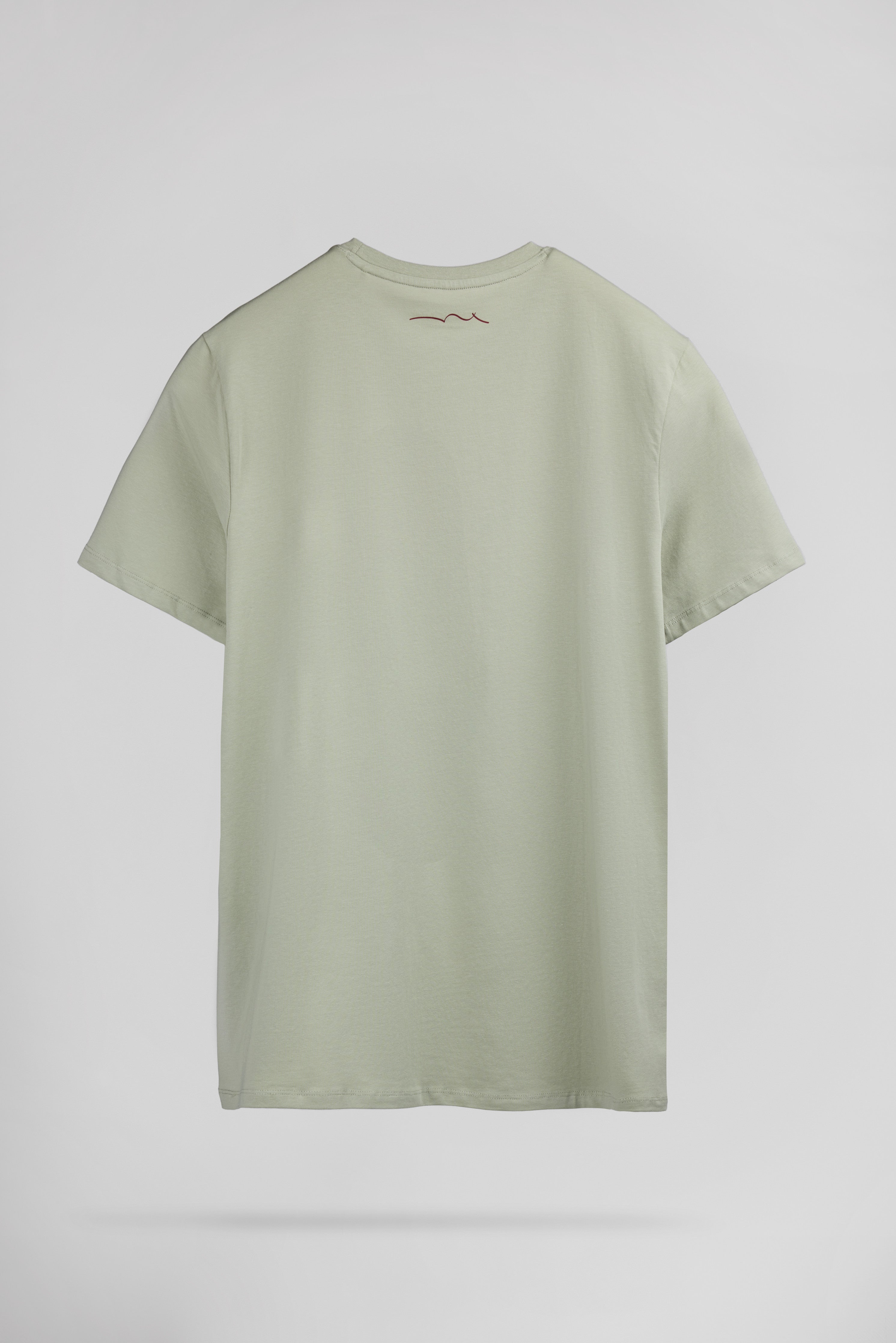 Teddy Smith T-Company t-shirt coton vert sauge regular