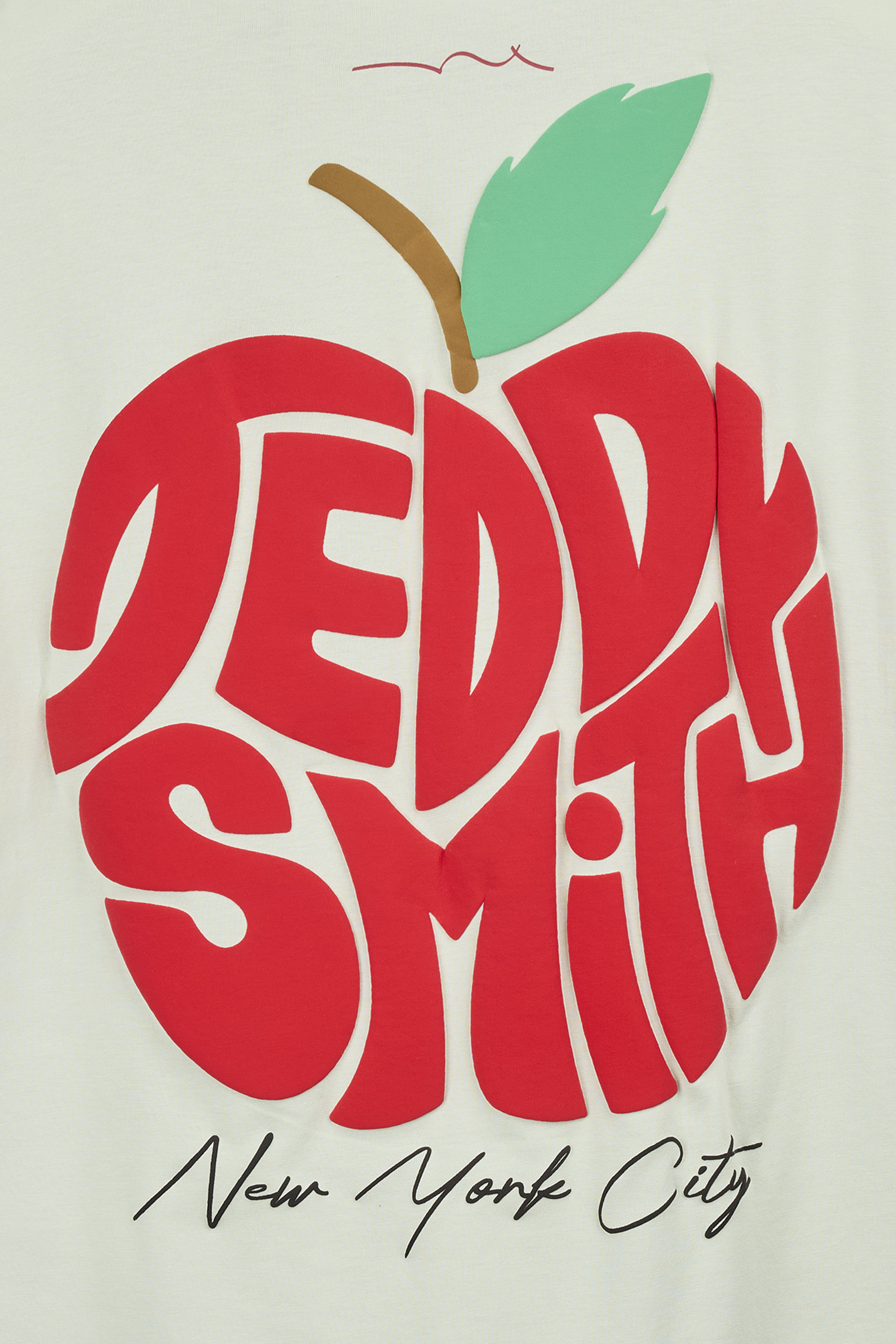 Teddy Smith T-Pom t-shirt coton garçon vert nacre pomme