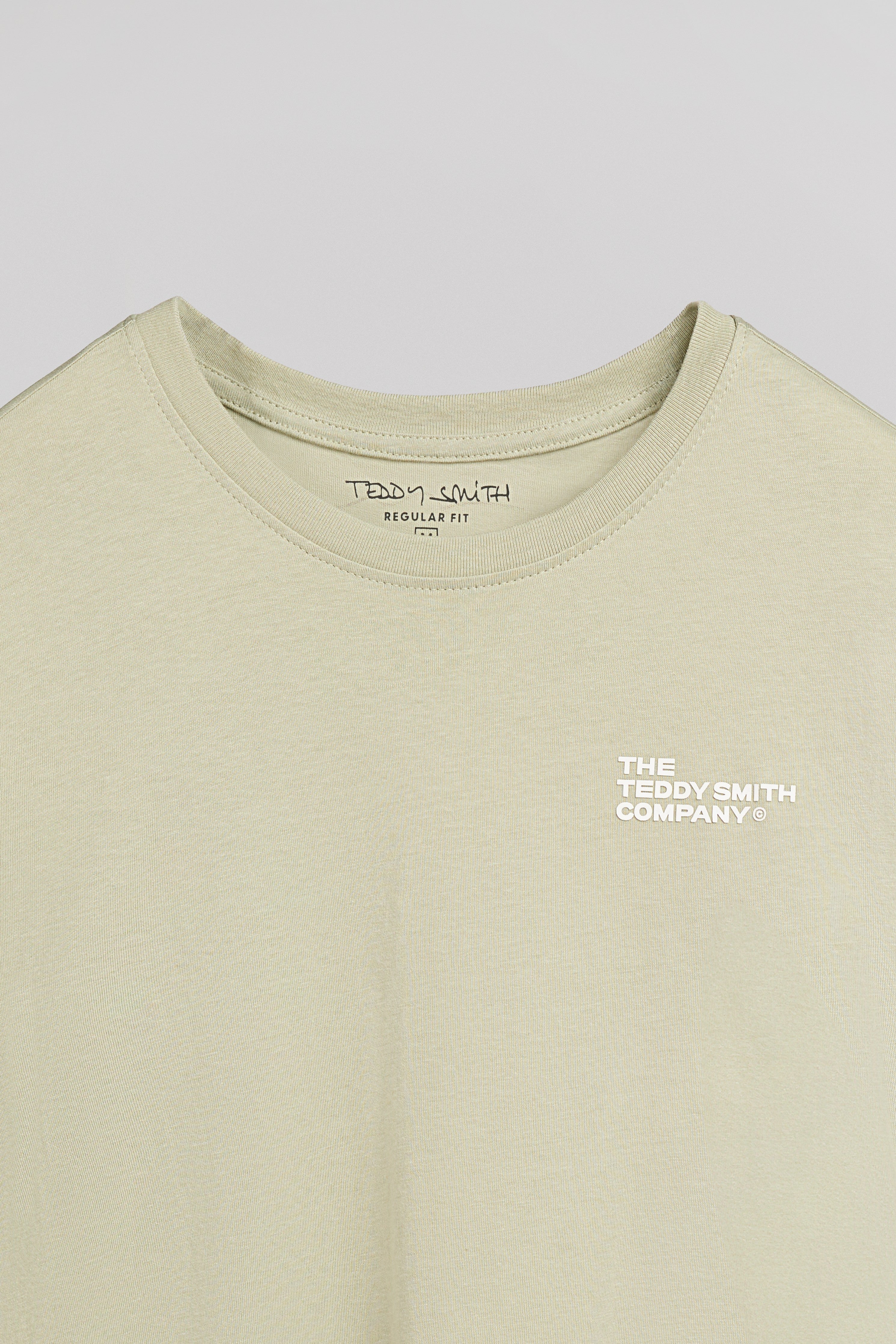 Teddy Smith T-Pany MC t-shirt vert sauge homme