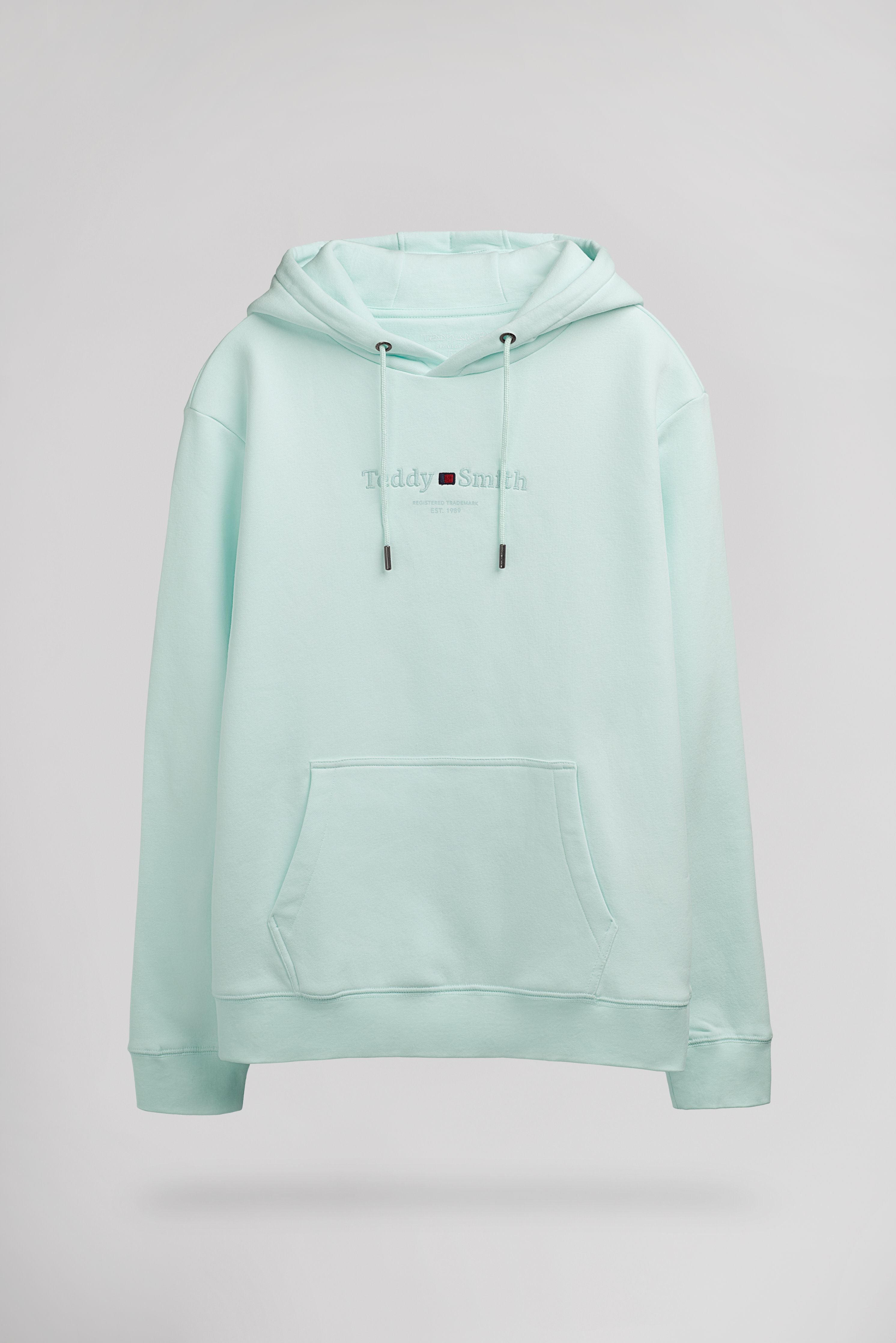 Teddy Smith S-Jim Hoody sweat capuche menthol homme