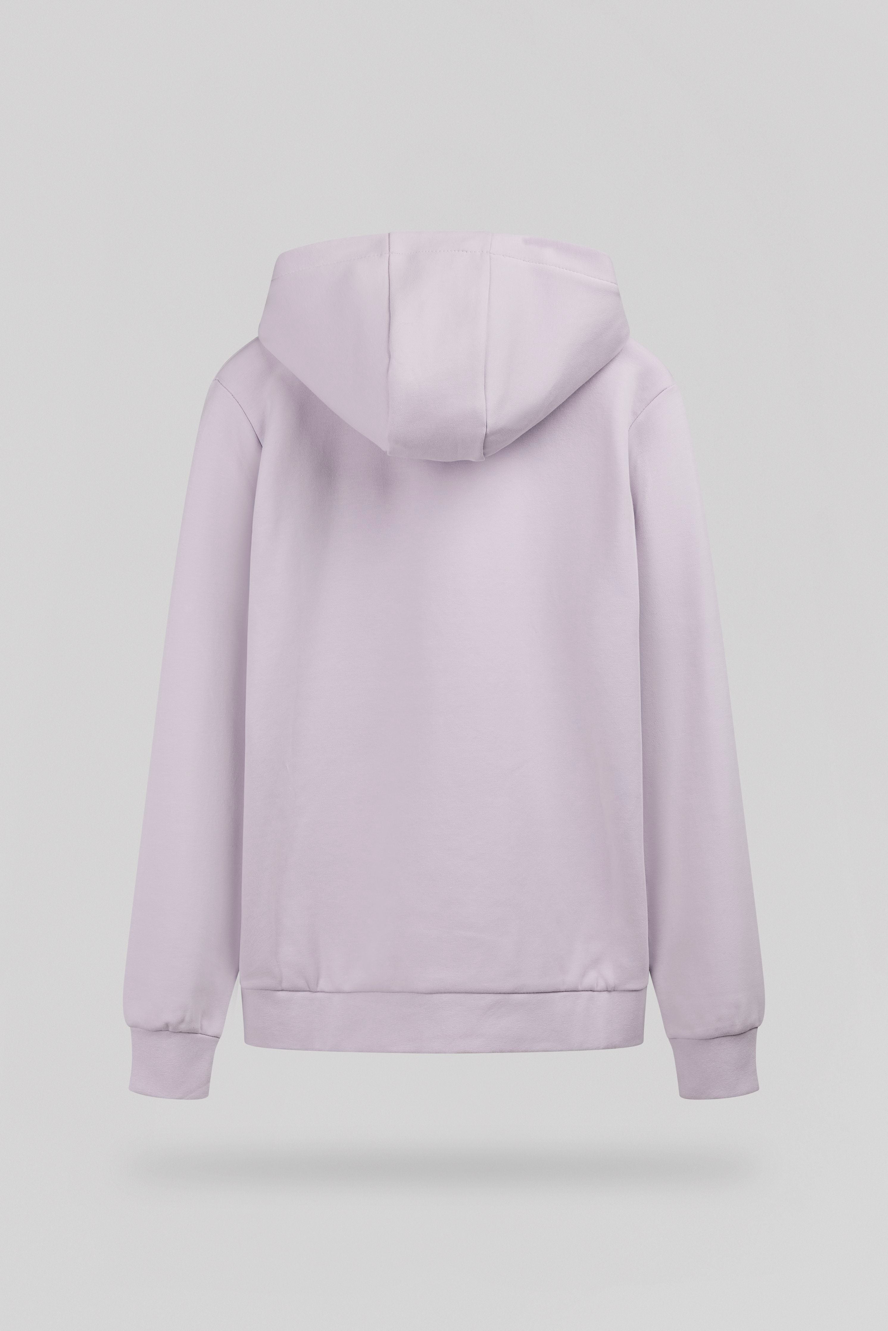 Teddy Smith Company sweat capuche lavande garçon