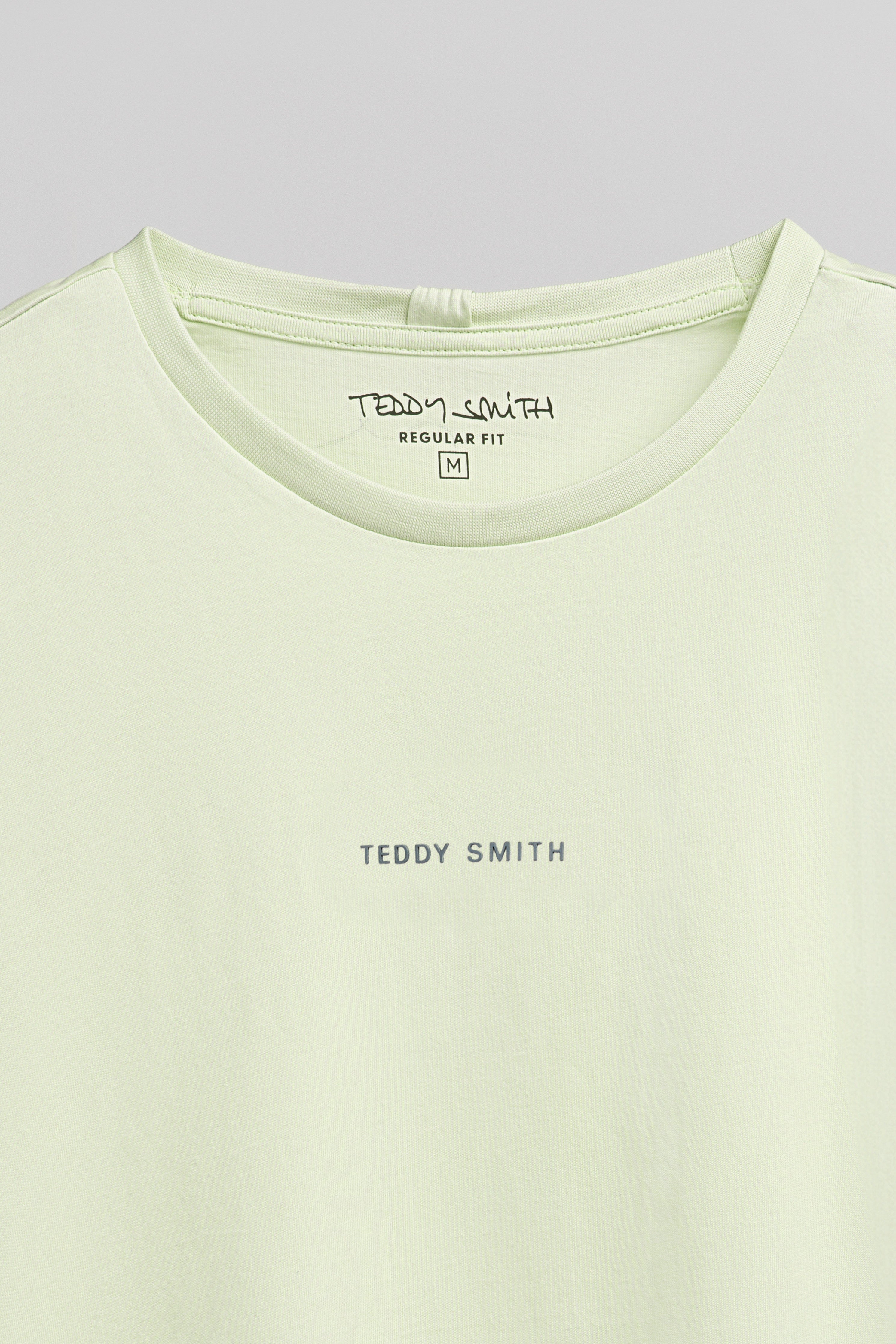 Teddy Smith T-Soy 2 MC t-shirt vert nacré homme