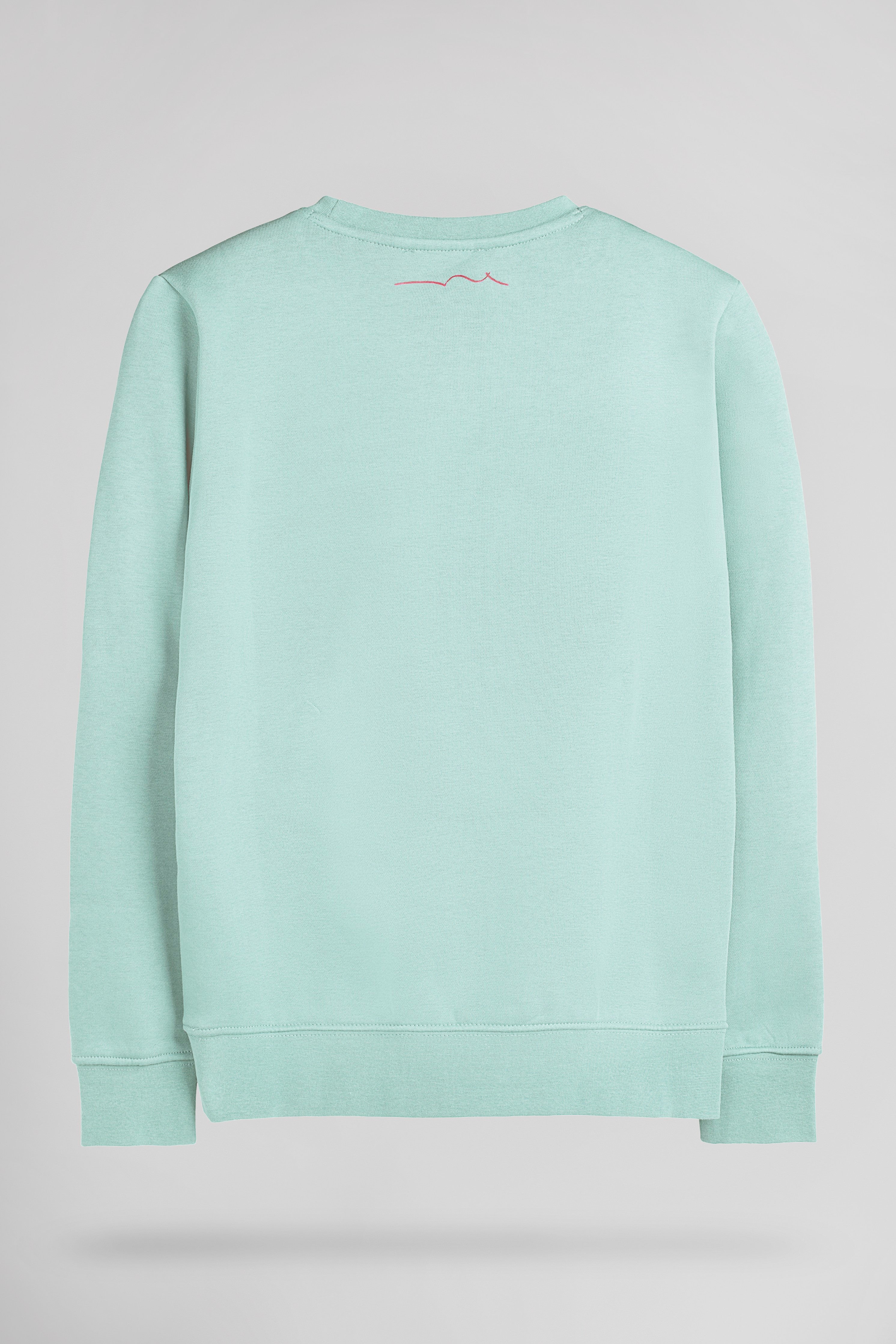 Teddy Smith S-Nark RC JR sweat col rond bleach menthol coton
